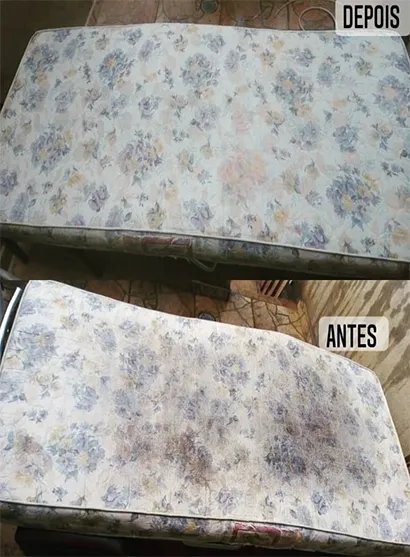 Limpeza de Sofá no Horto Florestal