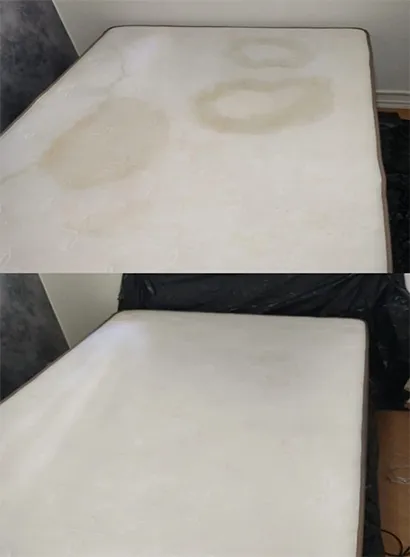Limpeza de Sofá no Horto Florestal
