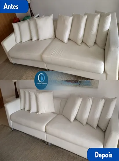 Limpeza de Sofá no Horto Florestal