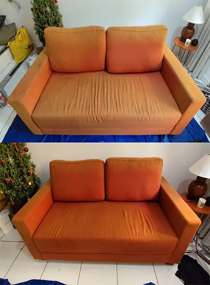 Limpeza de Sofá no Horto Florestal