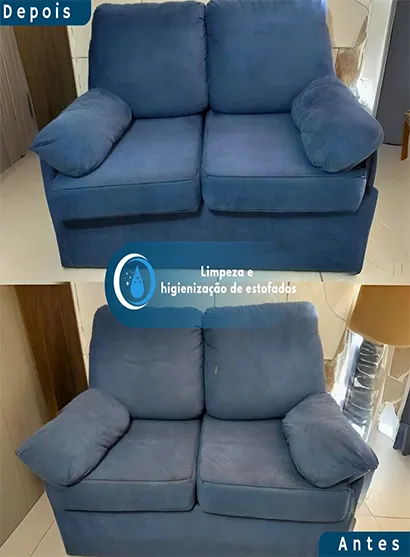 Limpeza de Sofá no Horto Florestal