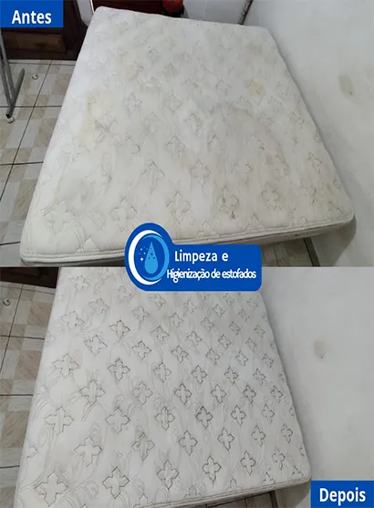 Limpeza de Sofá no Horto Florestal