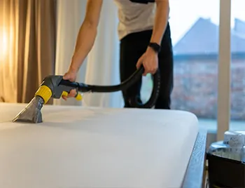Limpeza de Cama Box no Horto Florestal
